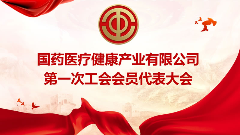 國(guó)藥醫(yī)療健康產(chǎn)業(yè)有限公司第一次工會(huì)會(huì)員代表大會(huì)勝利召開(kāi)！